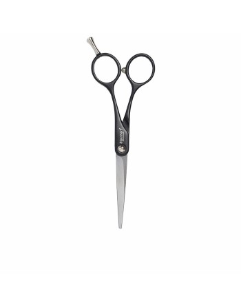 Hair scissors Steinhart 5½