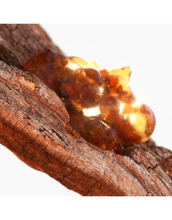 Herrenparfüm Tommy Hilfiger TOMMY NOW 100 ml