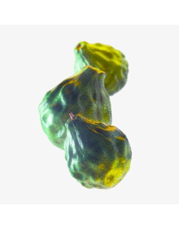 Herreparfume Tommy Hilfiger TOMMY NOW 100 ml