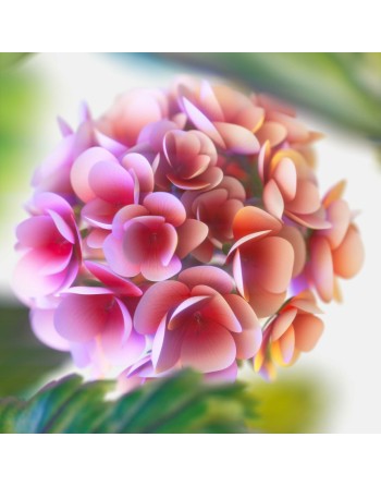 Herrenparfüm Tommy Hilfiger TOMMY NOW 100 ml