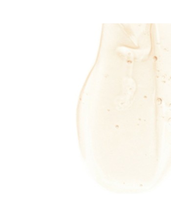 Champú Olaplex Olaplex 100 ml