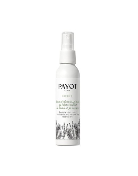 Acqua per il Viso Payot 100 ml