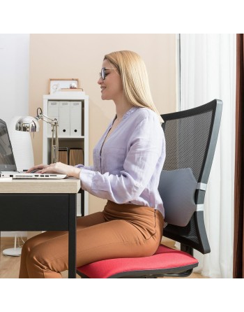 Gel Lumbar Cushion with Removable Cover Glushion InnovaGoods