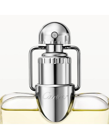 Damenparfüm Cartier Déclaration EDT 100 ml
