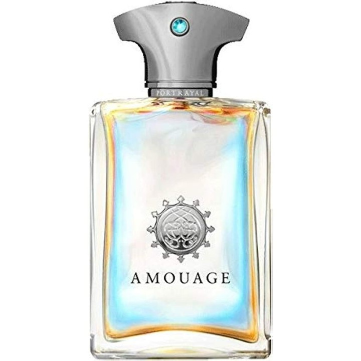 Herrenparfüm Amouage EDP Portrayal 50 ml