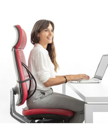 Supporto Lombare Portatile Traspirante Backonfy InnovaGoods