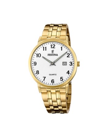 Men's Watch Festina CLASSICS (Ø 40,5 mm)
