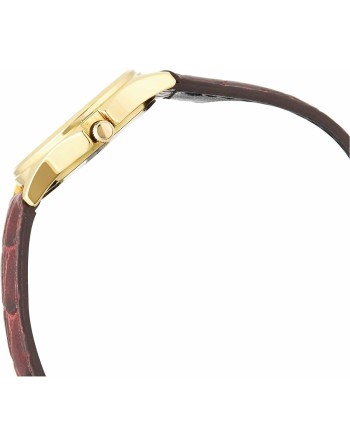 Orologio Donna Casio COLLECTION (Ø 23 mm)