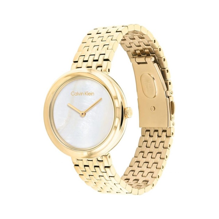 Orologio Uomo Calvin Klein 25200321