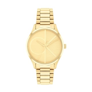 Dameur Calvin Klein 25200346