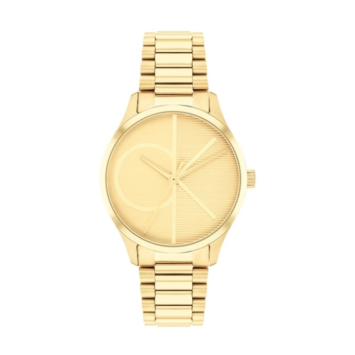 Dameur Calvin Klein 25200346