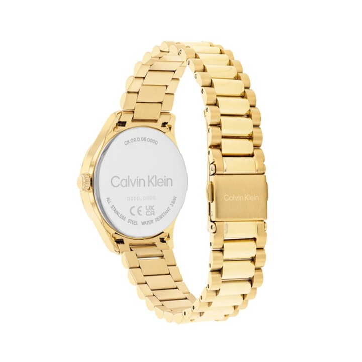 Damenuhr Calvin Klein 25200346