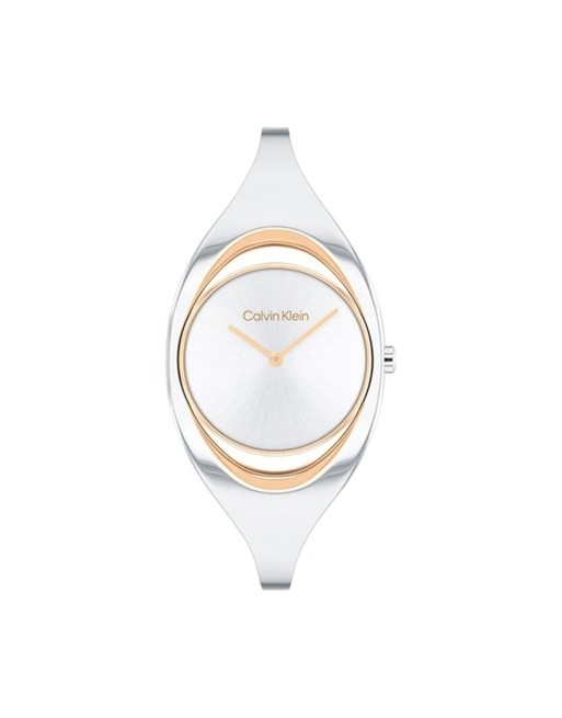 Ladies' Watch Calvin Klein 25200393