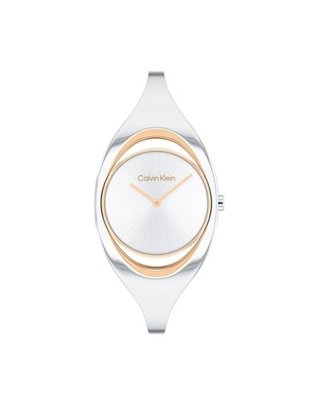 Ladies' Watch Calvin Klein 25200393