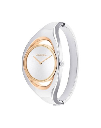Ladies' Watch Calvin Klein 25200393
