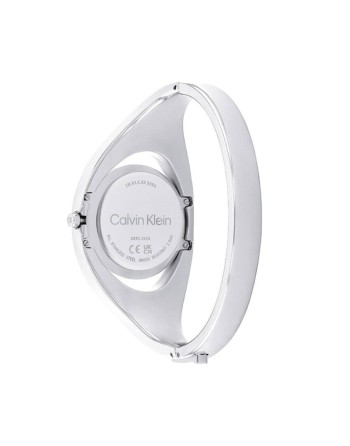 Ladies' Watch Calvin Klein 25200393