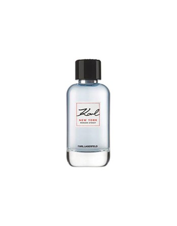 Herreparfume Lagerfeld KL009A02 EDT 100 ml