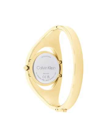 Dameur Calvin Klein 25200