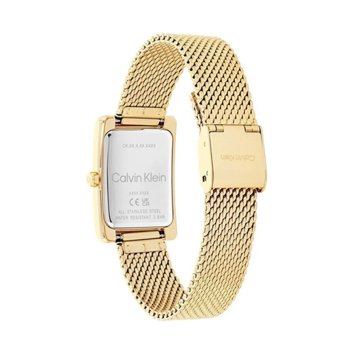 Dameur Calvin Klein 2520039