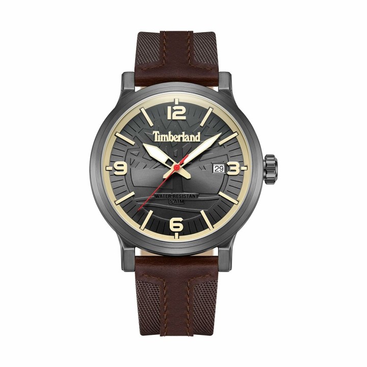 Herreur Timberland TDWGN0029104 Grå