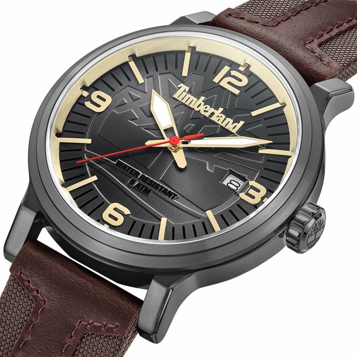 Orologio Uomo Timberland TDWGN0029104 Grigio