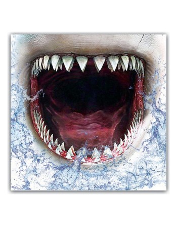 Hygienic Reusable Fabric Mask 6-9 years Shark