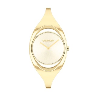 Ladies' Watch Calvin Klein 25200422