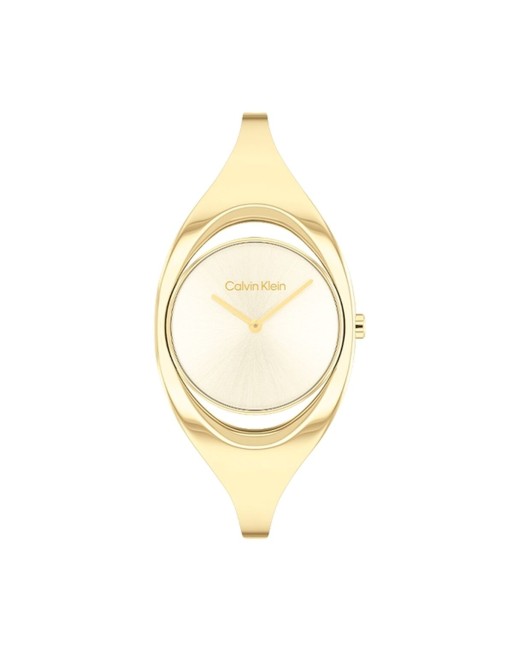Ladies' Watch Calvin Klein 25200422