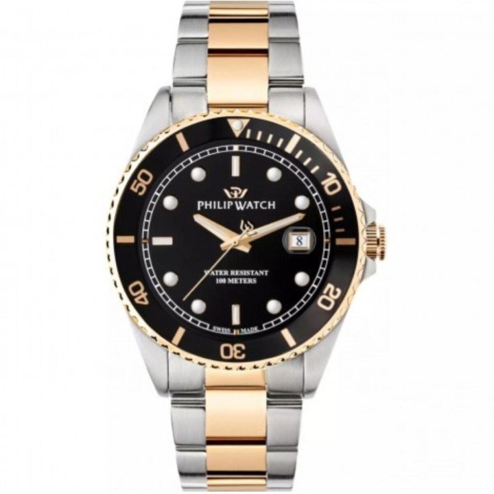 Reloj Hombre Philip Watch R8253597081 Negro Plateado