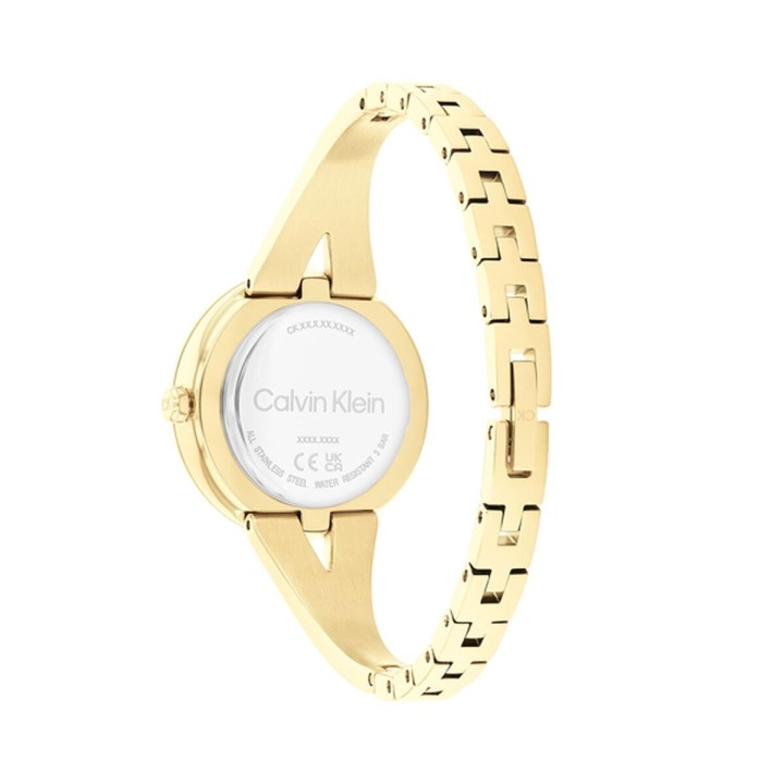 Orologio Donna Calvin Klein 25100027