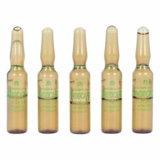 Ampollas Endoncare Tensage Regenerativo (10 x 2 ml)