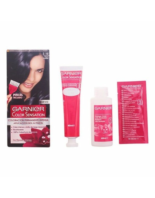 Permanent Farve Color Sensation 2,10 Garnier Blåsort