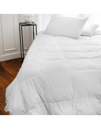 Oreiller Toison D'or Blanc