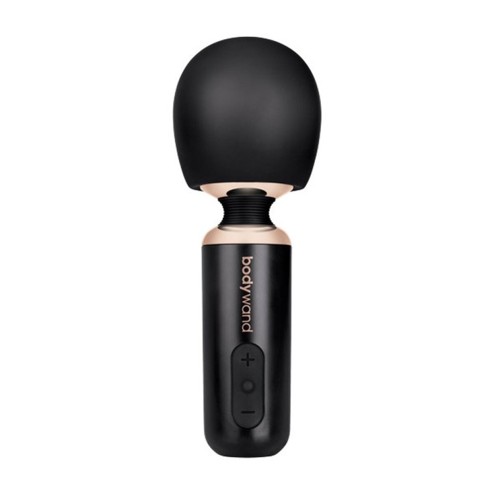 Vibrator Bodywand Sort