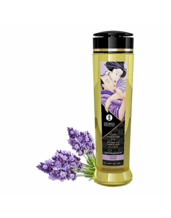 Olio per Massaggio Erotico Shunga 240 ml Lavanda