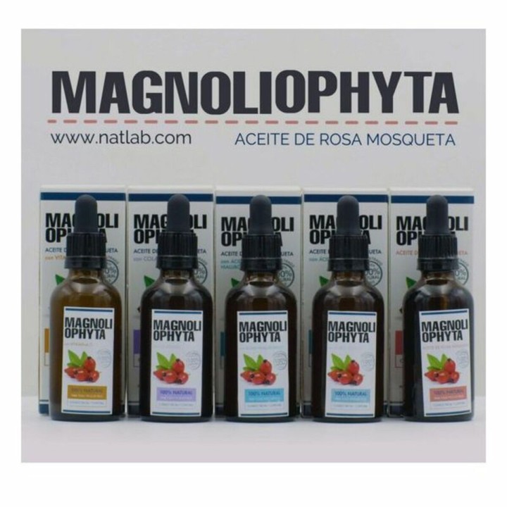 Ansigtsolie Magnoliophytha 8436592580378 30 ml 50 ml (50 ml)
