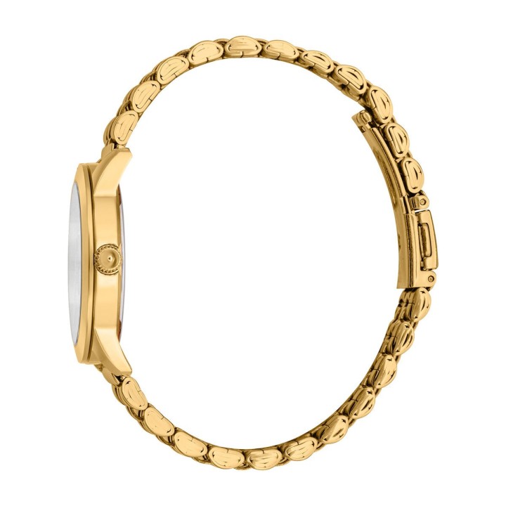 Dameur Just Cavalli