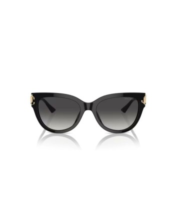 Ladies' Sunglasses Jimmy Choo JC 5018U