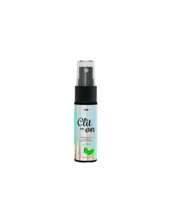 Lubricant Intt 12 ml Mint