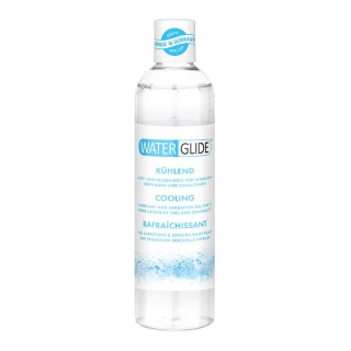 Lubricante Waterglide 300 ml