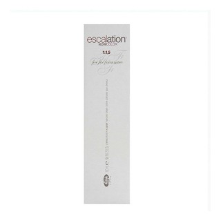 Tintura Permanente Escalation Now Color Lisap Nº 6/3 Dark Golden Blonde (100 ml)