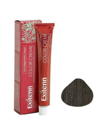 Teinture permanente Color Creme Exitenn Color Creme Nº 8,1 Light Ash Blonde (60 ml)