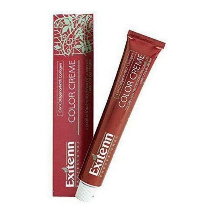 Permanent Farve Color Creme Exitenn Color Creme Nº V87 (60 ml)