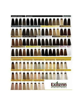 Teinture permanente Color Creme Exitenn (60 ml)