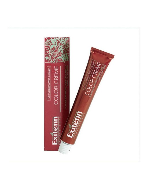 Dauerfärbung Color Creme Exitenn Nº 11/1 Bright Ash (60 ml)