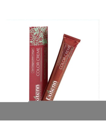 Tinte Permanente Color Creme Exitenn Nº 800 Light Blonde Honey Sahara (60 ml)