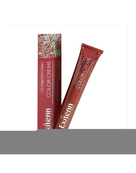 Permanent Farve Color Creme Exitenn Nº 800 Light Blonde Honey Sahara (60 ml)