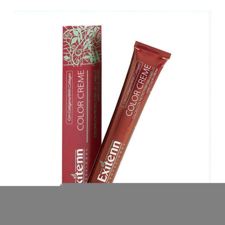 Permanent Farve Color Creme Exitenn Nº 800 Light Blonde Honey Sahara (60 ml)