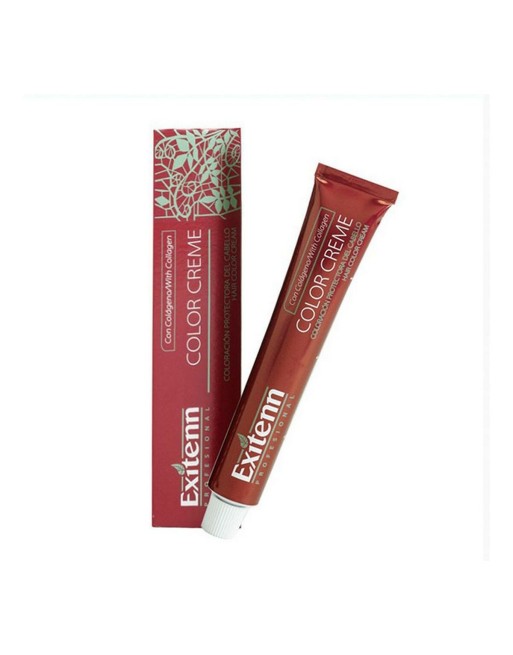 Permanent Farve Color Creme Exitenn Nº 10/N2 (60 ml)