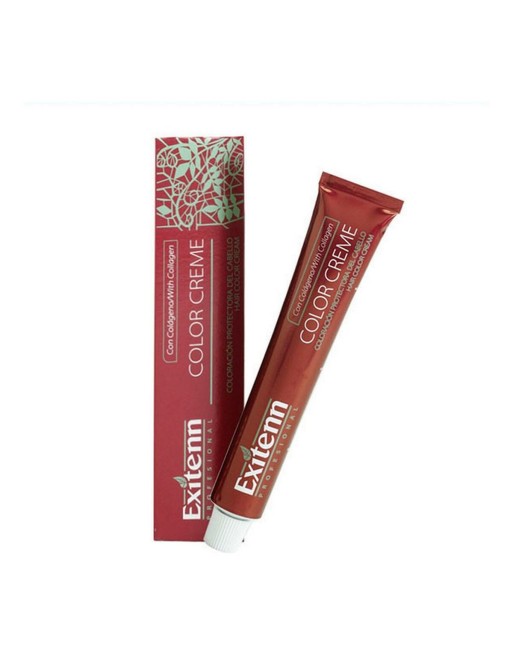 Permanent Dye Color Creme Exitenn Color Creme Nº 12/1 Platinum Ash (60 ml)